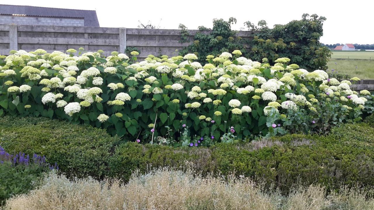 B&B Bergdal Gits 외부 사진